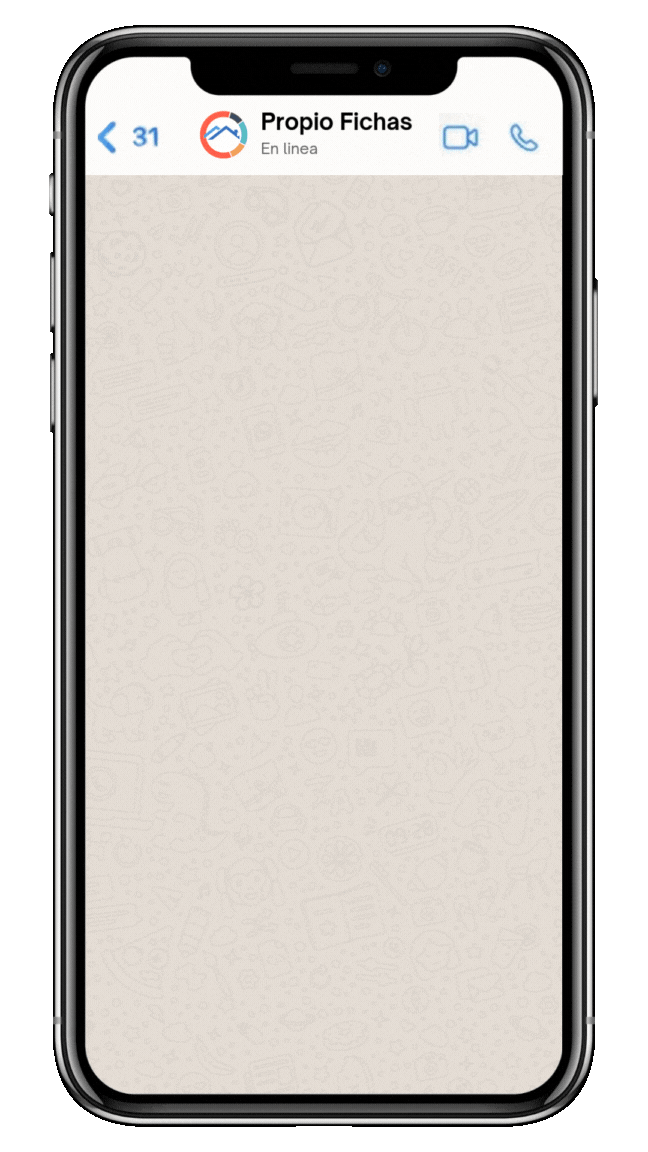 Demo de Fichas Propio